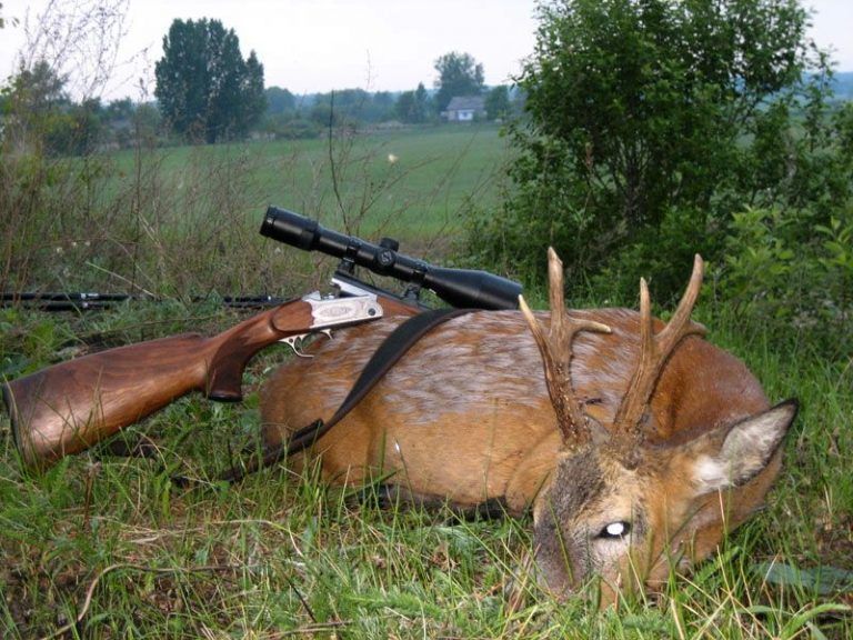 CORZO CON RIFLE