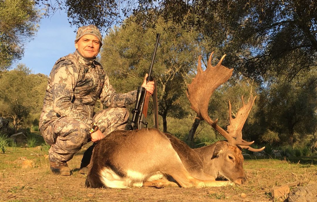 Fallow deer