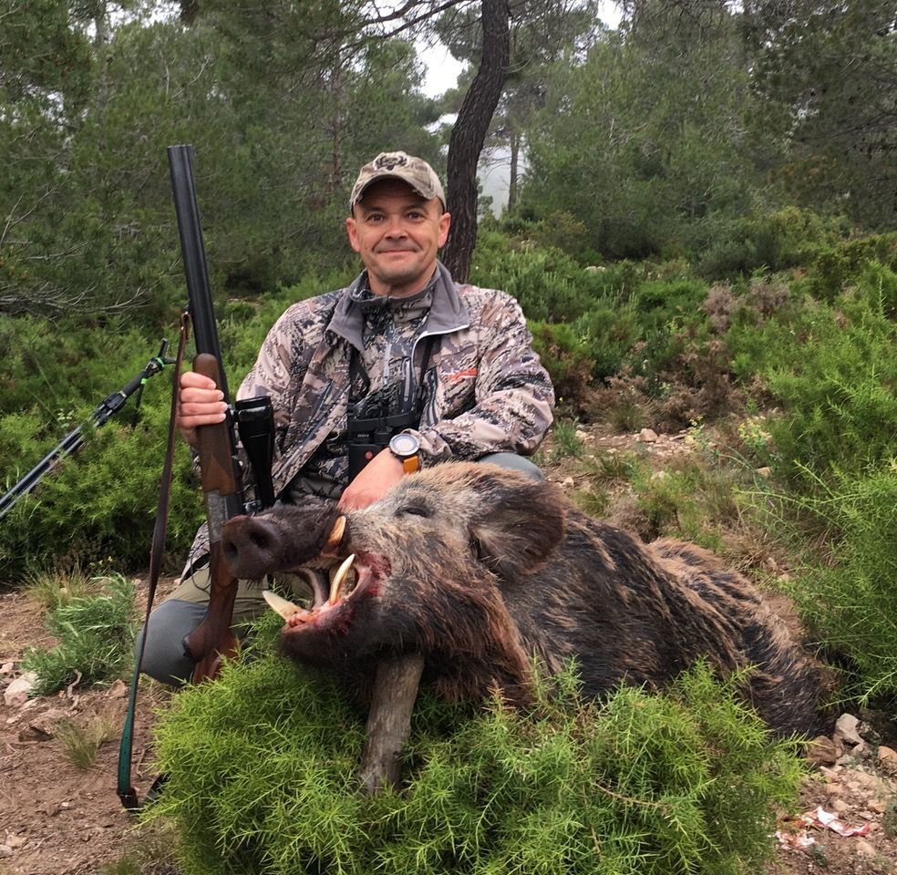 wildboar hunt Spain