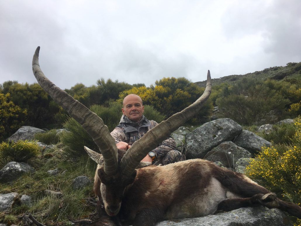 ibex hunt spain