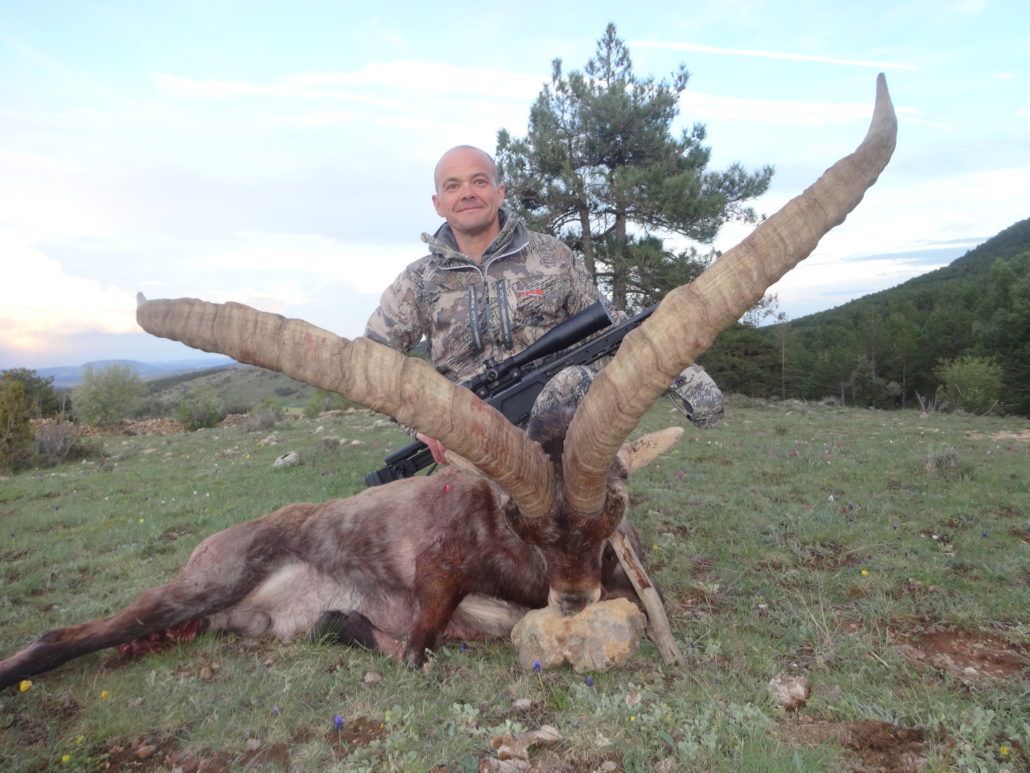 ibex spain junt